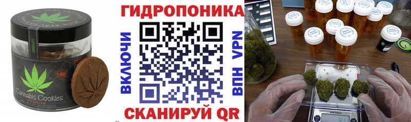 где купить наркотик  Моршанск  Еда ТГК конопля 