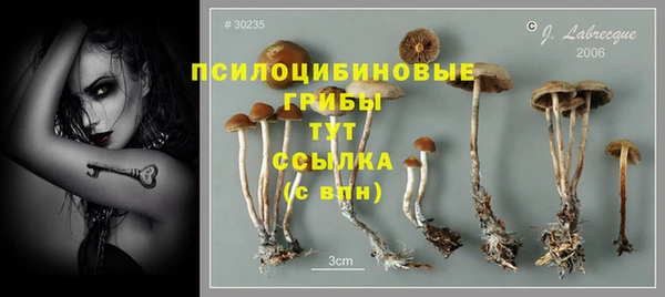гашишное масло Магас